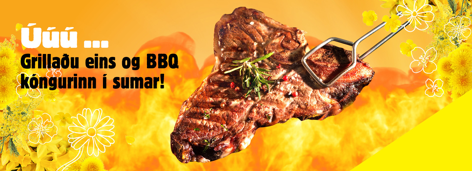 BBQ kongur
