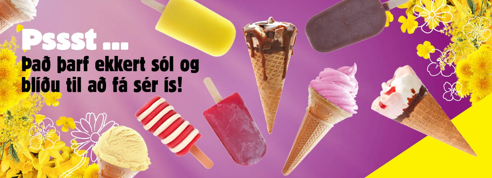 Sagði einhver ís?