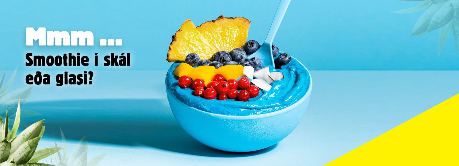 Mmm..smoothie