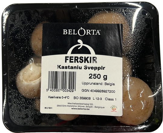 BelOrta sveppir ferskir kastaníu