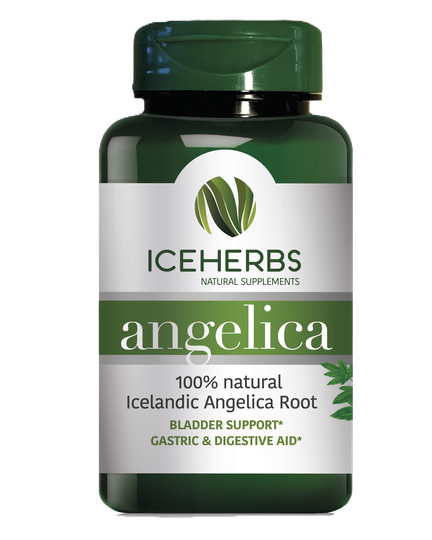 ICEHERBS angelica 60 veg capsules