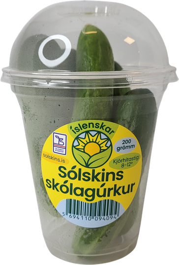 Sólskins skólagúrkur