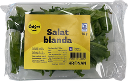 Ódýrt salatblanda