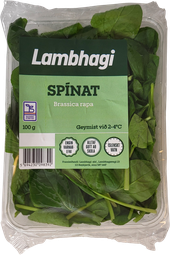 Lambhaga spínatkál