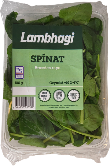 Lambhaga spínatkál