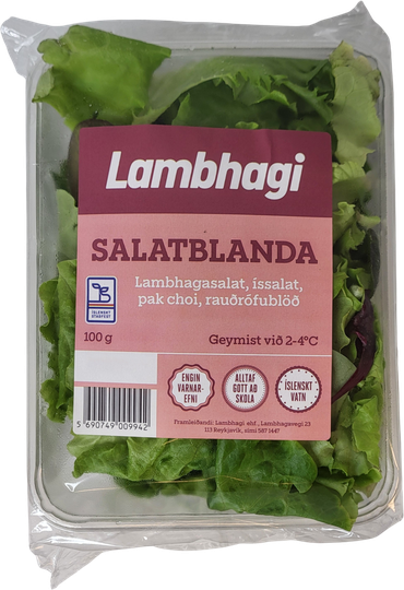 Lambhaga salatblanda