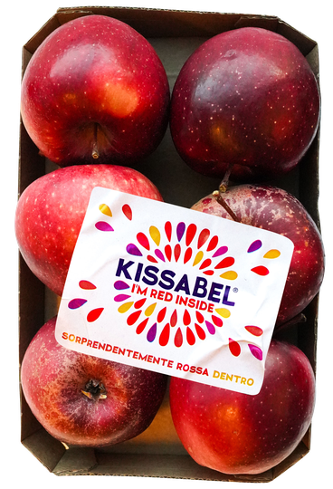 Melinda Epli Kissabel 6 stk