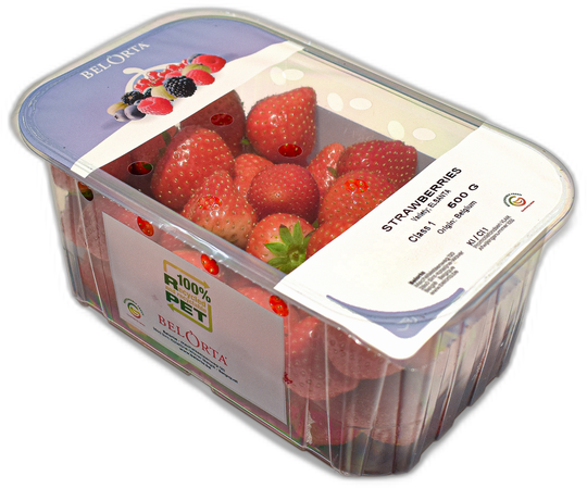 BelOrta jarðarber 500g