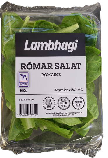 Lambhaga rómarsalat