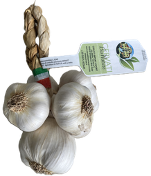 Cervati hvítlaukur lífrænn