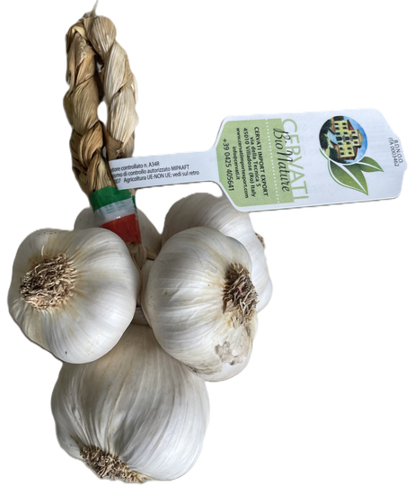 Cervati hvítlaukur lífrænn