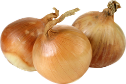 Laukur