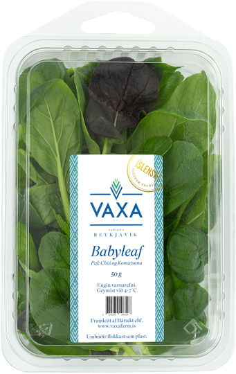 VAXA babyleaf