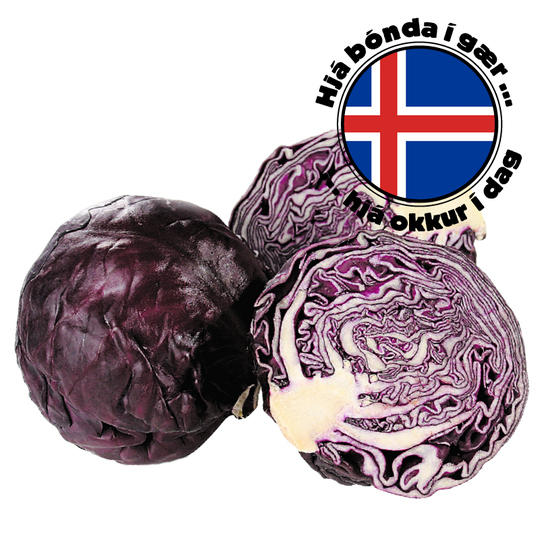 Rauðkál íslenskt