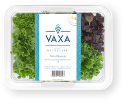 VAXA Salatbland ...