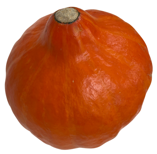 Hokkaido grasker