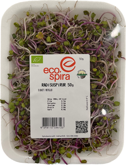 Eco radísuspírur